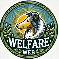 Welfare Web